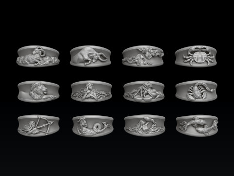 Zodiac Horoscope Rings Set Pack 3D print model 3D 프린트 모델