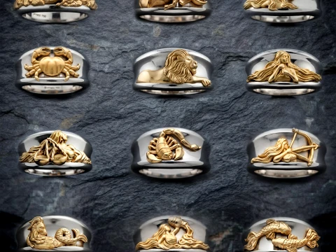 조디악 별자리 반지 세트 팩 3D 프린트 모델 3D 프린트 모델