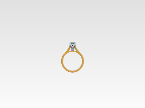 Jewelry ring Free Free 3D print model 3Dプリントモデル