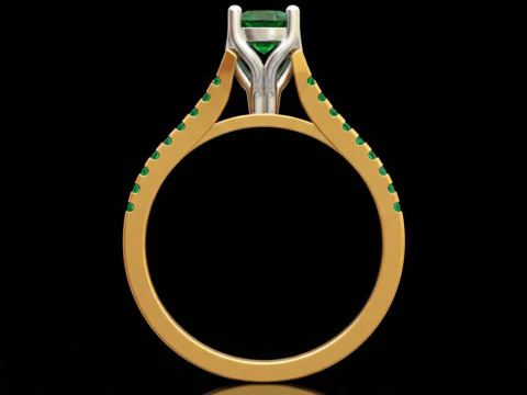 Jewelry ring Free Free 3D print model 3D Print Model