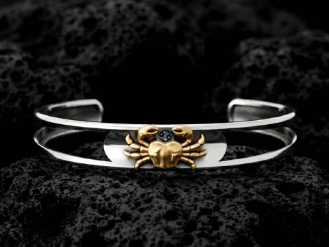 Zodiac Horoscope Cancer Bracelet 3D print model 3D Print Model