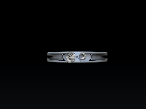 Zodiac Horoscope Scorpio Bracelet 3D print model 3D-Druckmodell
