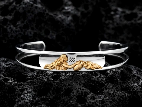 Zodiac Horoscope Aquarius Bracelet 3D print model 3D Print Model