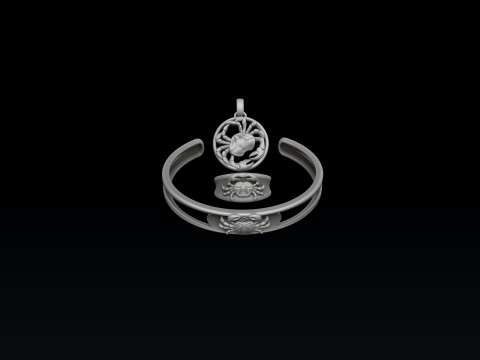 Zodiac Horoscope Cancer ring pendant bracelet collection 3D print model 3Dプリントモデル