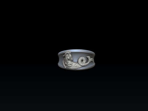 Zodiac Horoscope Capricorn ring pendant bracelet collection 3D print model 3D Print Model