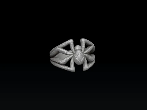 Modello di stampa 3D dell'anello del ragno Modello di stampa 3D