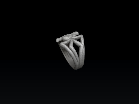 Spider Ring 3D print model 3Dプリントモデル