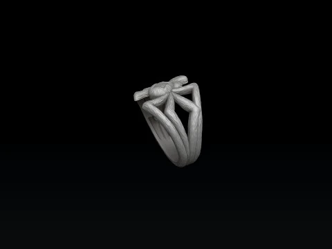 Modello di stampa 3D dell'anello del ragno Modello di stampa 3D