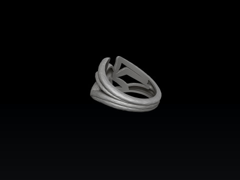 Spider Ring 3D print model 3Dプリントモデル