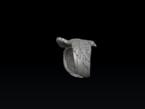 Eagle Ring 3D print model 3Dプリントモデル
