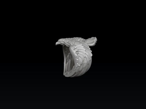 Eagle Ring 3D print model 3Dプリントモデル