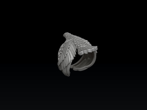 Eagle Ring 3D print model 3Dプリントモデル