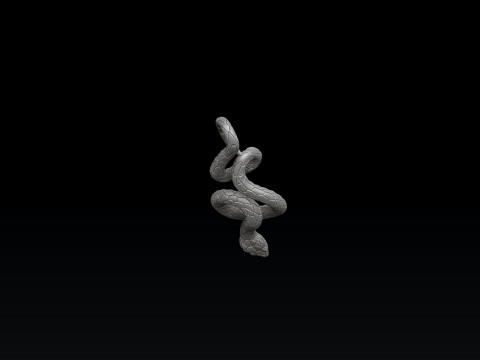 Jesus Crucifixion cross ring pendant set 3D print model 3Dプリントモデル
