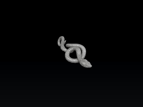 Jesus Crucifixion cross ring pendant set 3D print model 3Dプリントモデル