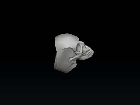 Skull pendant ring version 2 set 3D print model 3D Принт Модель