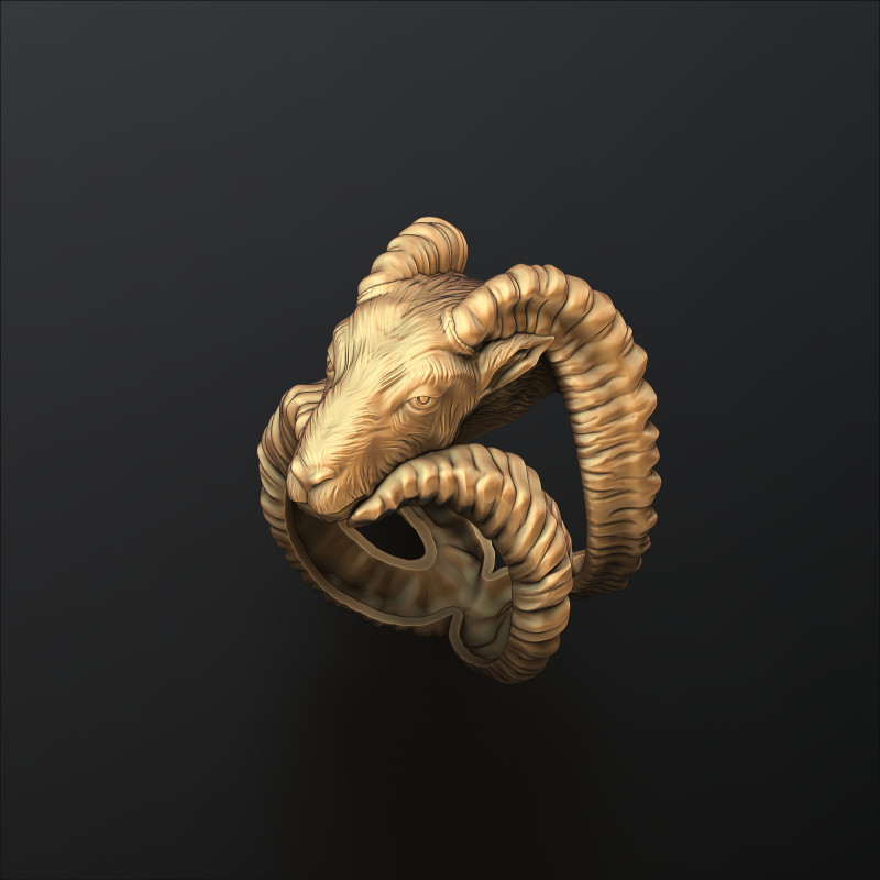 Capricorn Ring 3D print model 3D-Druckmodell .c4d .max .obj .3ds .fbx .stl .blend