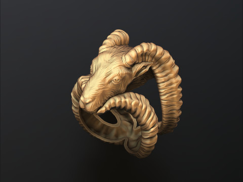 Capricorn Ring 3D print model 3Dプリントモデル