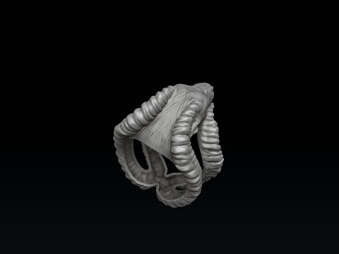 Capricorn Ring 3D print model 3D-Druckmodell