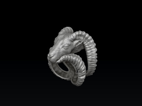 Capricorn Ring 3D print model 3D-Druckmodell