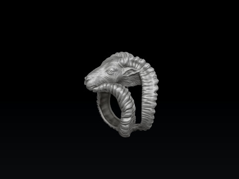 Capricorn Ring 3D print model 3D-Druckmodell