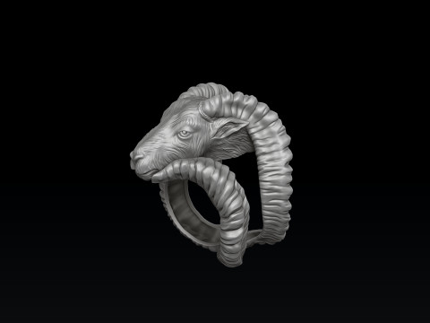 Capricorn Ring 3D print model 3D-Druckmodell