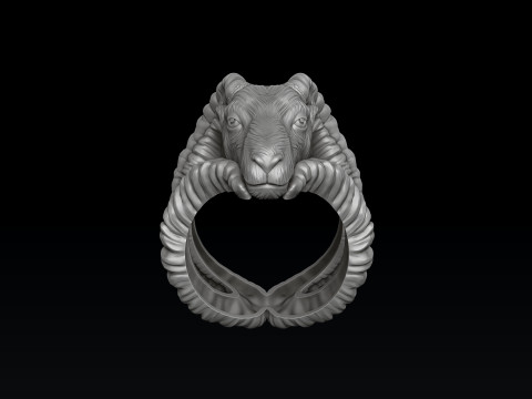 Capricorn Ring 3D print model 3D-Druckmodell
