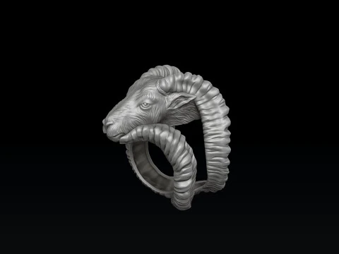 Conjunto de anel pendente de Capric&oacute;rnio Modelo de impress&atilde;o 3D Modelo de Impressão 3D