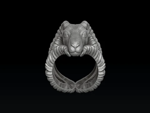 Conjunto de anel pendente de Capric&oacute;rnio Modelo de impress&atilde;o 3D Modelo de Impressão 3D