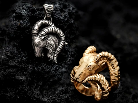 Capricorn Pendant Ring Set 3D print model 3D Print Model
