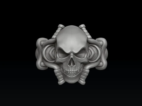 Modello di stampa 3D dell'anello da motociclista con teschio Modello di stampa 3D