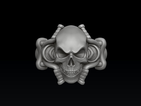 Skull biker pendant ring collection 3D print model 3Dプリントモデル