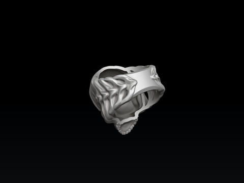 Skull Skeleton Ring 3D print model Modèles 3D en vedette