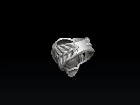 Skull Skeleton Ring 3D print model 3D Print Model