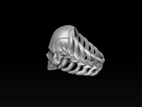 Skull Skeleton Ring 3D print model Modèles 3D en vedette