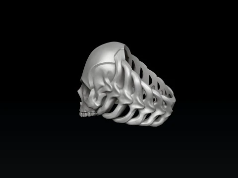 Skull Skeleton Ring 3D print model 3D Print Model