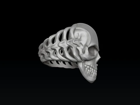 Skull Skeleton Ring Version 2 3D print model 3D Print Model