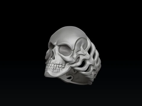 Skull Skeleton Ring Version 2 3D print model 3D Print Model