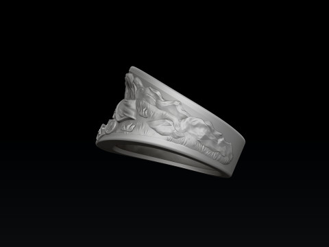 Traveller Hiking Ring 3D print model 3Dプリントモデル