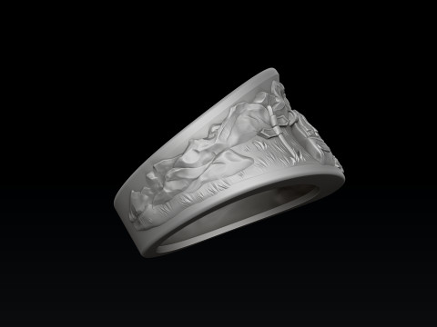 Traveller Hiking Ring 3D print model 3Dプリントモデル