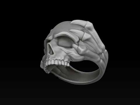 Skull Clutches Ring 3D print model 3D Print Model