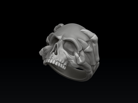 Skull Clutches Ring 3D print model 3Dプリントモデル