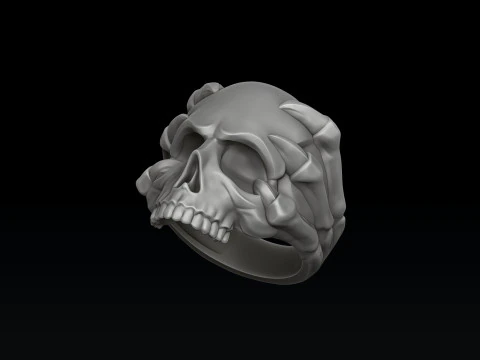 Skull Clutches Ring 3D print model 3D Print Model