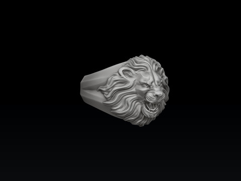 Lion Pendant Ring Collection Set 3D print model 3Dプリントモデル