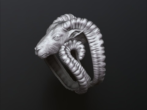 Aries Ring 3D print model Modello di stampa 3D