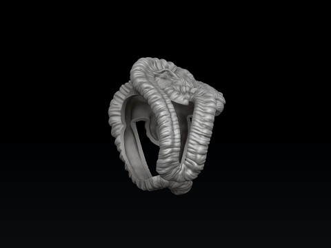 Aries Ring 3D print model 3Dプリントモデル