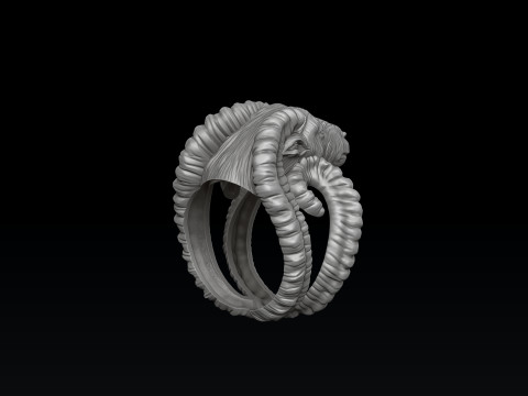 Aries Ring 3D print model 3Dプリントモデル