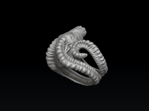 Aries Ring 3D print model 3Dプリントモデル
