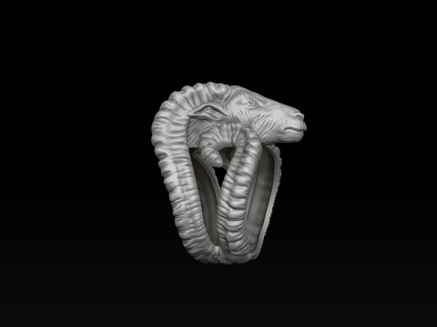 Aries Ring 3D print model 3Dプリントモデル