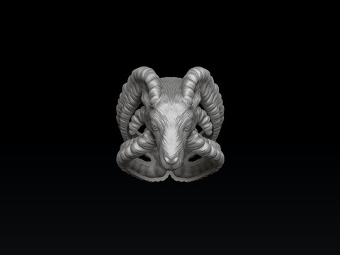 Aries Ring 3D print model 3Dプリントモデル