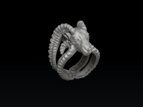 Aries Pendant Ring Collection Set 3D print model 3D 프린트 모델